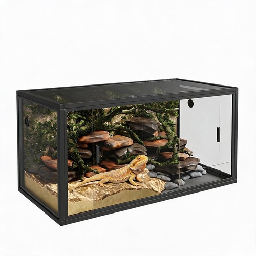 Gallon reptile tank - reptile, front